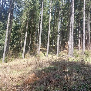 Cyklista 73 na vrcholu Nad Slatinkou (1.5.2023 12:11)
