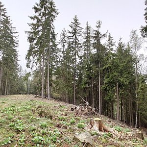 Nojby on the summit of Obteč (5.5.2022 8:56)