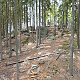 Nojby na vrcholu Jelení vrch (24.5.2021 15:45)