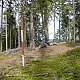 Nojby na vrcholu Jelení vrch (24.5.2021 15:45)