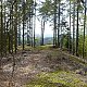 Nojby na vrcholu Jelení vrch (24.5.2021 15:45)