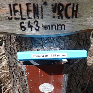 Nojby na vrcholu Jelení vrch (24.5.2021 15:45)