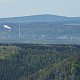 Nojby na vrcholu Jelení vrch (24.5.2021 15:45)