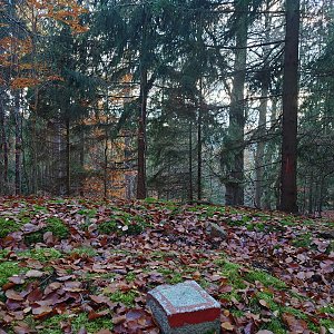 Nojby na vrcholu Bučina (9.11.2021 14:35)