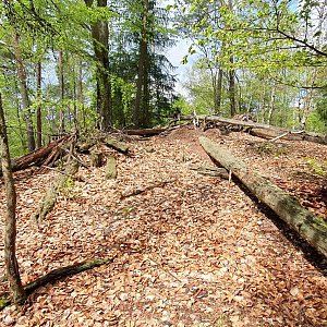 TP na vrcholu Bučina (6.5.2023 11:39)