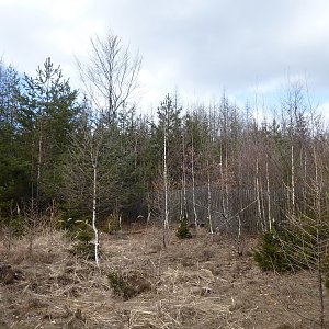 Nojby na vrcholu Čertův kámen (20.3.2021 11:58)