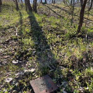 Radka D na vrcholu Přívozská halda (4.4.2025 16:18)