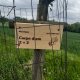 ZdenkaV na vrcholu Pod Lipami