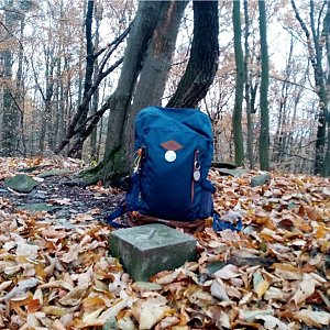 Jiřina na vrcholu Stříbrná hůrka (2.11.2021 15:30)