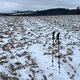 Radka D on peak Jelenice SZ (14.1.2024)