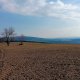 AlenaŠ na vrcholu Okrouhlice (1.3.2026)