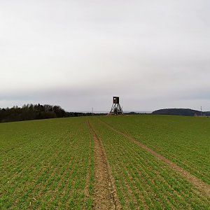 Šárka on the summit of Šibenice (27.3.2021 16:22)