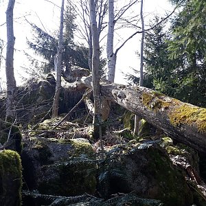 Adéla Luptáková na vrcholu Mechový vrch (2.4.2021 15:16)