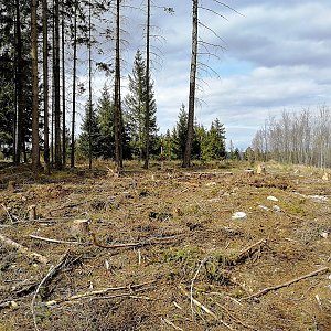 Vladimír Grančay na vrcholu Na Kopci (28.3.2021 14:14)