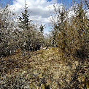 Vladimír Grančay na vrcholu Ivovice (28.3.2021 15:42)