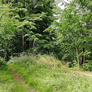 Vladimír Grančay na vrcholu Baba (18.7.2021 17:03)