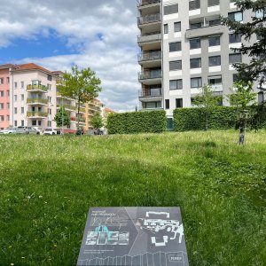 Betička na vrcholu Kozinec (8.5.2025 15:22)