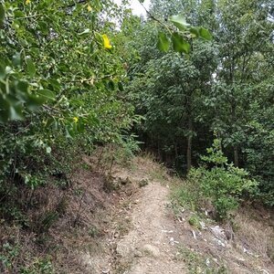 Luky na vrcholu Bohdalec (11.9.2024 14:35)