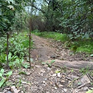 Luky na vrcholu Bohdalec (10.10.2024 14:33)