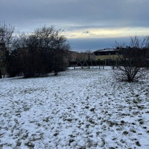 Betička na vrcholu Bohdalec (4.1.2025 15:47)