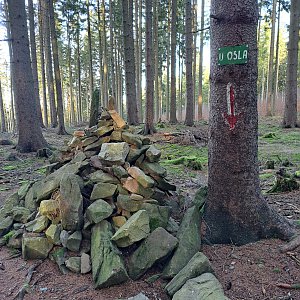 Horalka Anička na vrcholu U Osla (14.1.2023)