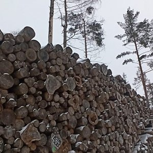 michalzhor na vrcholu Koní hora (19.1.2021 18:30)