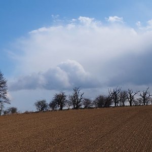 Jiřina na vrcholu Lášovec (3.4.2021 15:10)