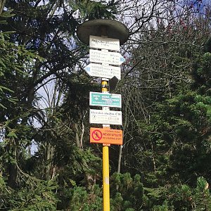 Medvěd Codiak na vrcholu Radegast (28.10.2022 13:07)