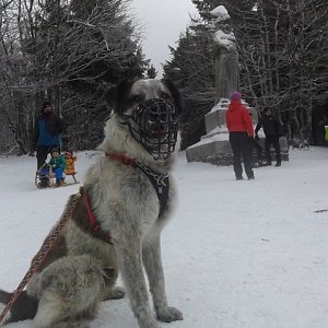 Lenka Valoušková na vrcholu Radegast (4.1.2020 10:45)