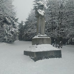 Vašek Bauer na vrcholu Radegast (20.1.2020 13:26)