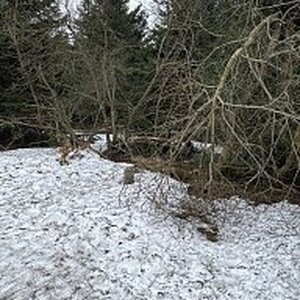 Gregořicovi na vrcholu Radegast (17.2.2024 9:30)