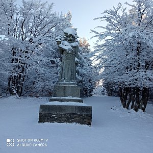 MartinB na vrcholu Radegast (11.1.2021 8:25)