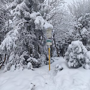 Jan Čegan na vrcholu Radegast (26.1.2021 12:00)