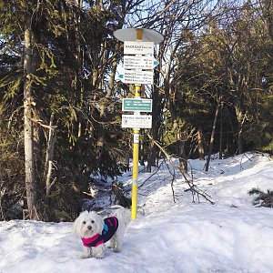 Lenka na vrcholu Radegast (18.2.2019 15:50)
