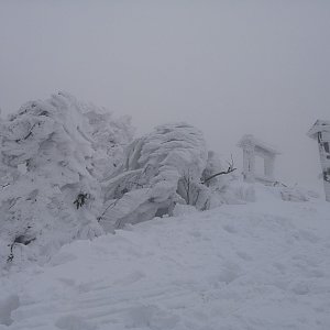 Krvelačné ňuf na vrcholu Radegast (17.4.2021 17:11)