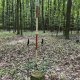 Radka D on peak Radlovec (9.5.2025)