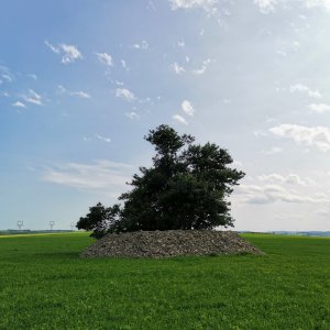 Šárka on the summit of Valteřicko (6.6.2025 16:29)