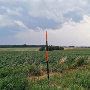Šárka na vrcholu Sakrovec (29.6.2026 19:32)