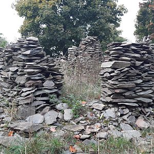 ZdenkaV na vrcholu Hradní vrch (10.10.2021 16:08)