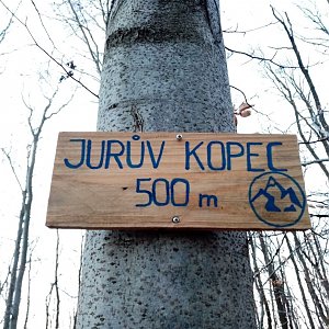 Jiřina on the summit of Jurův kopec (15.1.2022 16:25)