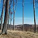 Jiřina na vrcholu Sněženkový kopec (12.3.2022 12:01)