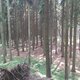 Denny Valach na vrcholu Paprč J (23.6.2024)