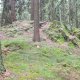 Jirka Zajko na vrcholu Paprč J (18.5.2025)