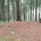 Jirka Zajko na vrcholu Paprč J (18.5.2025)
