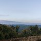 michalzhor na vrcholu Nad Vojankou - SZ vrchol (16.10.2021 15:15)