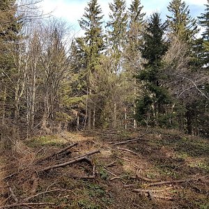 Marcela Kubíčková na vrcholu Čerňanská Kyčera (11.4.2021 9:00)