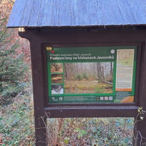 Roman Skácel na vrcholu Malý Javorník Z (27.10.2024 13:14)