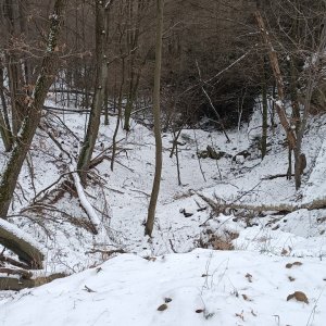 Milda na vrcholu Benkov (12.1.2026 15:07)