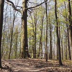Chřiby