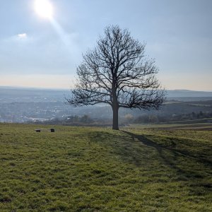 Michal Hájek on the summit of Urban (16.11.2024 13:55)